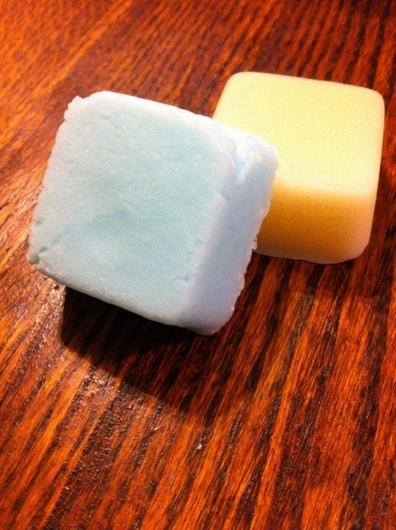 Solid Shampoo and Conditioner Bar Set- On the Road Again- Original Scent