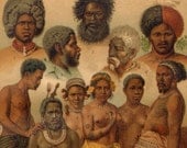 1902 Australian Races of Human, Tasmanian, Maori, Papua etc. Original Antique Chromolithograph