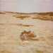 Beach Converse - Fine Art Photography