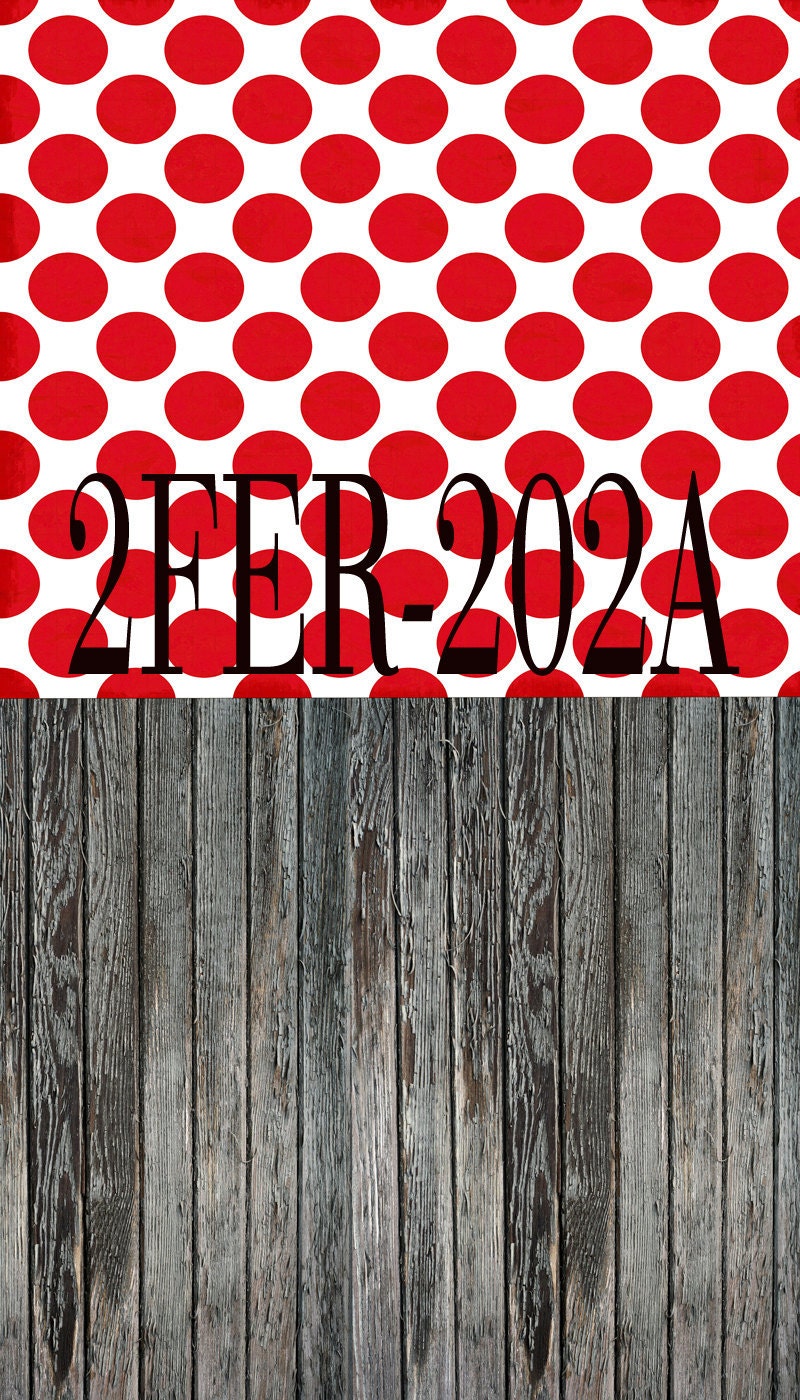 Photography Background 2-FER-202A