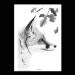 Art Illustration Drawing Traditional Art Print Black And White Art Fox Art Animal Art Monochrome Art  Pen And Ink Pointillism