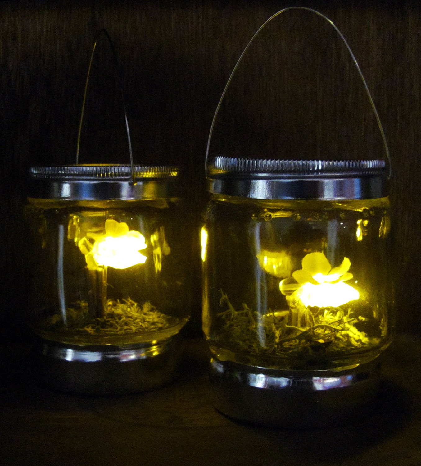 firefly lantern