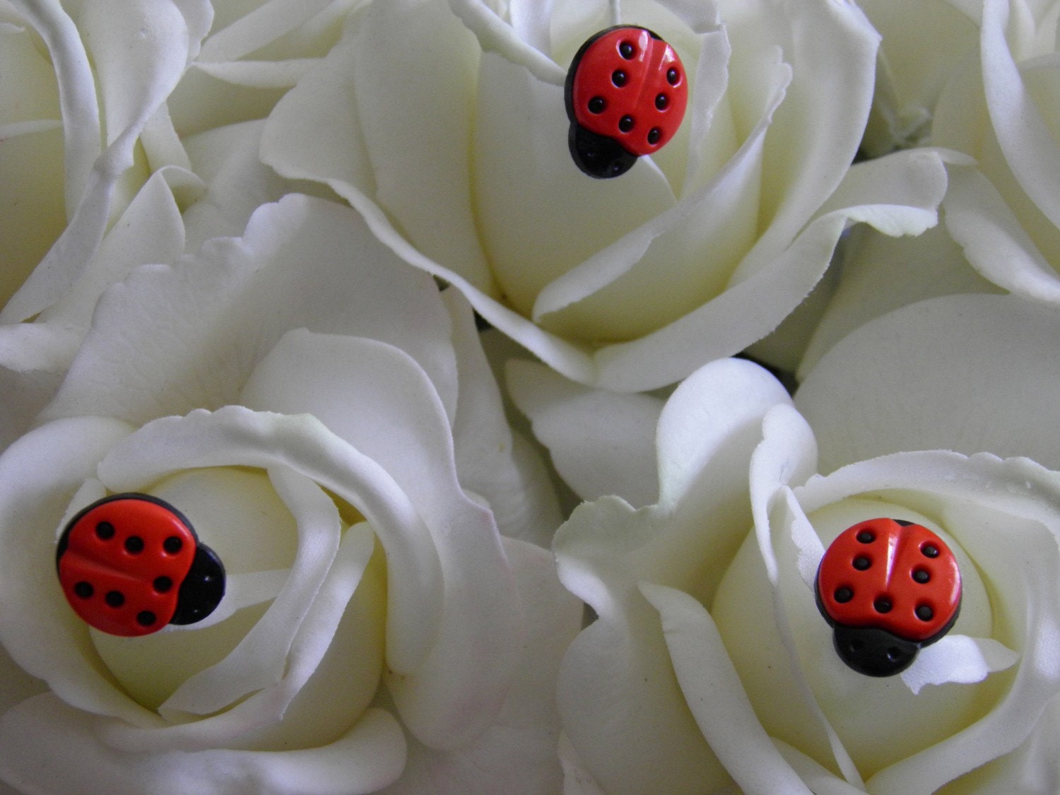 Ladybug Bouquet