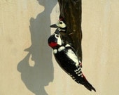 Great Spotted Woodpecker Paper Figurine