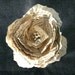 Paper Peony (The Adeline)