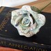 One Dozen Map Roses, Made to Order