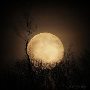 CRADLED MOON, a celestial full moon night sky 5x5 print