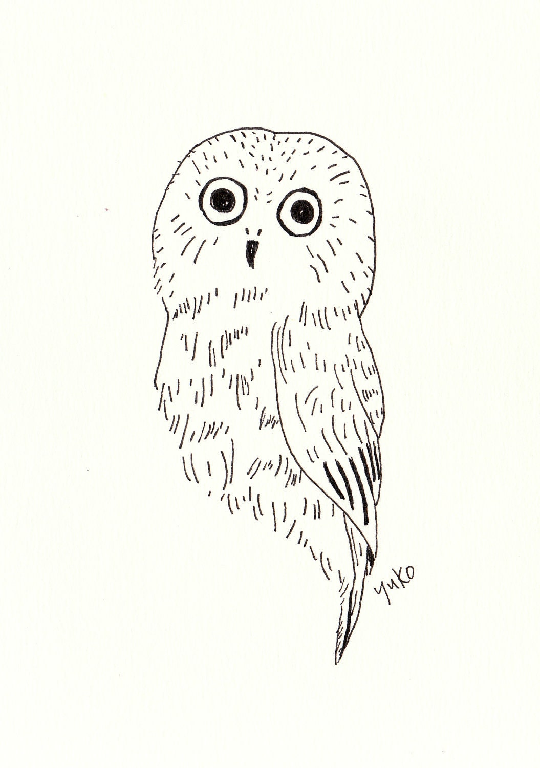 Saw Whet Owl Line Drawing Print 5x7
