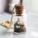 Terrarium Necklace - "A Bunny's World" Jar Terrarium Necklace