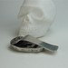 Men: Dad, Boss, Brother, Husband, Boyfriend Golden Skull Money Clip for Him