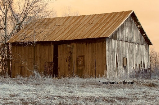 Brown, Autumn, Fall, Rustic Barn, Country, Gold,  thanksgiving  -  8x10 Print, Nature Photography
