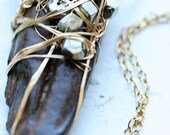 2 Million Year Old Horse Tooth and Pyrite (as seen on the Today Show)