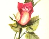 Red Rosebud Watercolor Painting Art Print
