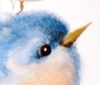 Blue Bird Watercolor Painting Bird Print