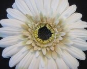 Large Rustic Ivory Daisy Silk Flower Hair Clip, ON SALE