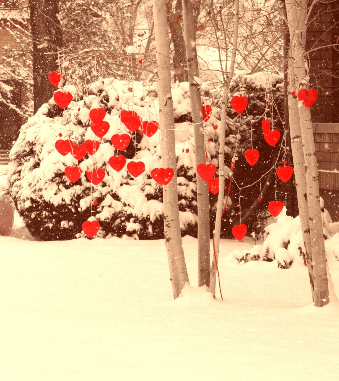 Valentine Snow