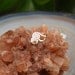 Tragus/Nose/Ear Cuff 14K Rose Gold Filled Handcrafted Non Pierced Nose Ring Spiral