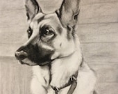 Pencil or charcoal children wedding pet portraits from photographs