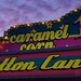 Cotton Candy - Fine Art Photography - Carnival Funhouse Summer Unisex Feminine Nostalgia Childhood Memories Candy Midway Circus Pink Yellow