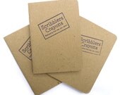 Little Scribblers Booklet by Scribblers Crayons