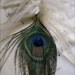 LOTUS Feather Hair Extension Clip