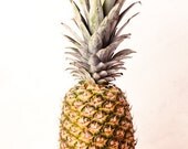 food photography color kitchen decor pineapple print - fruit still life feminine yellow food art - 11x14 print