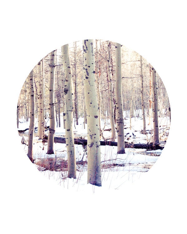 geometric circle print - Lake Tahoe circle landscape nature color aspen trees fine art Black Friday Cyber Monday - 8x10 print