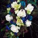 Royal Peacock Wedding Flowers Bridal Bouquet Real Touch Roses and Orchids TeaL, PLuM, BLue, aND GReeN WeDDiNG FLoWeRS