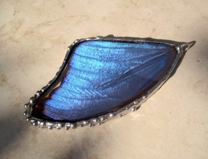 Real Butterfly Wing Jewelry - Pendant - Blue Morpho didius