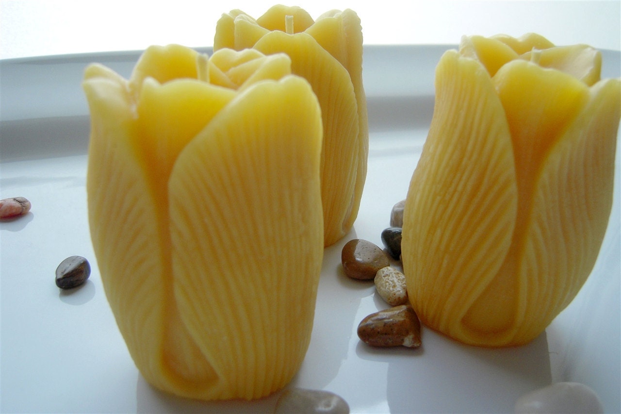Beeswax Tulip Candle, set of 3 - Gift for Gardener, Mom, Teacher