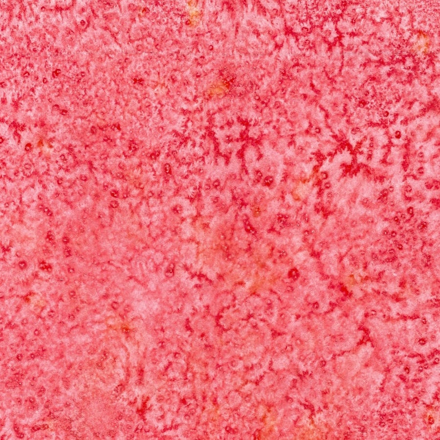 Red Watercolor & Salt Original Abstract Art Painting