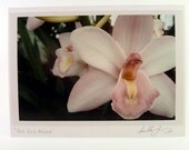 Orchid Flower Photo Greeting Card - Flower Photograph