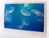 Jellyfish Photo Greeting Card