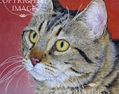 Tabby Cat on Red 8.5 x 11 Giclee Fine Art Print Signed A E Ruffing