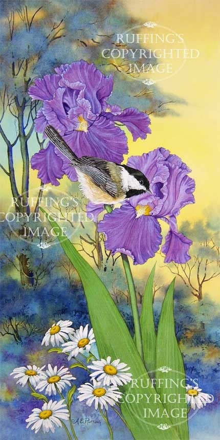 Chickadee and Purple Iris 8.5 x 11 Giclee Fine Art Bird Print Signed A E Ruffing
