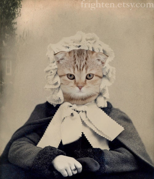 Cat Art, Rose, Mixed Media Collage Print, Altered Antique Portrait of a Sweet Cat in a Bonnet, frighten