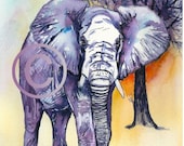 Art print of my original illustration-Elephant   STATTEAM - PetsandAnimals