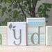 Elephant name block set with your initials or any other name- Hayden - Eli's elephant