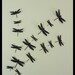 3D Wall Dragonfly - 20 Assorted Black Dragonflies Silhouettes