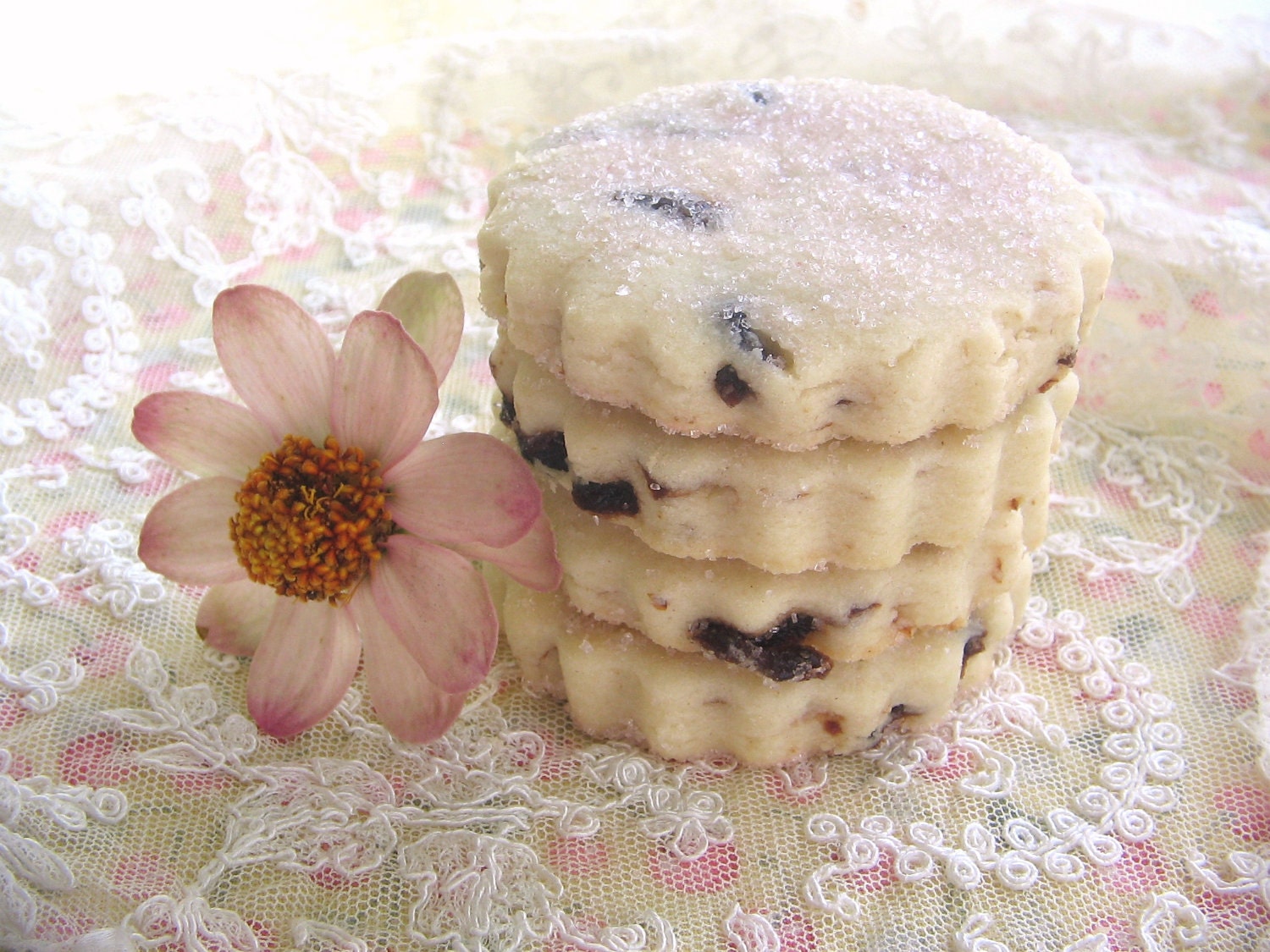 Mother's Day Treat - Sweet Cherry Almond Shortbread Cookies 1 Dozen