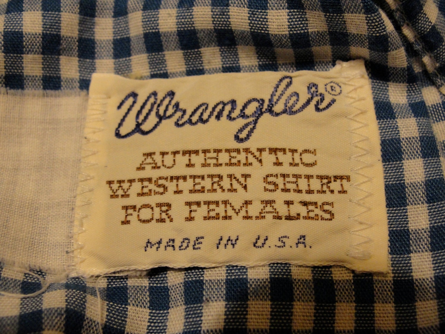 Vintage Women's Wrangler Blouse / Blue Gingham Picnic / 80s Western Shirt