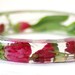 Flower Jewelry- Jewelry Made with Real Flowers- Pink Bracelet- Green Bracelet- Dried Flower Jewelry- Flower Resin Jewelry