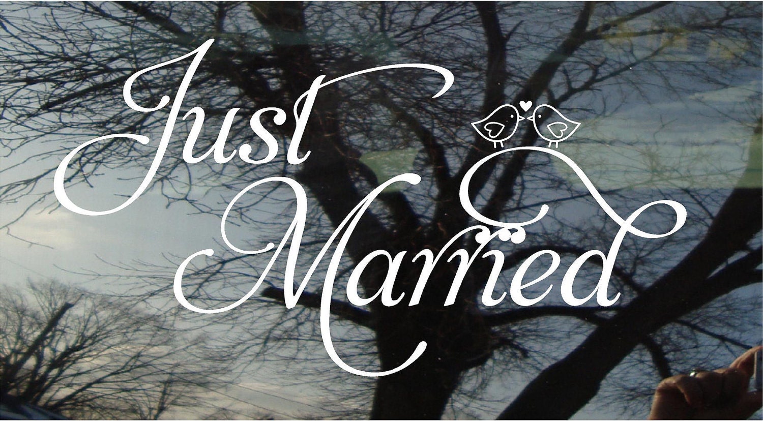 Vinyl Car Window Decal - Just Married with Love Birds- 12 x 22.5....wedding car or wall decal