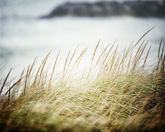 Soft Beach Decor, Beach Photography, Ocean Landscape, Soft Green Grasses, Mint Pale Blue Olive Lime Grey Blue,  Seascape Art.