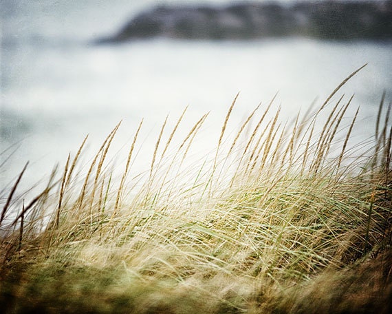 Soft Beach Decor, Beach Photography, Ocean Landscape, Soft Green Grasses, Mint Pale Blue Olive Lime Grey Blue,  Seascape Art.