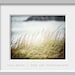 Soft Beach Decor, Beach Photography, Ocean Landscape, Soft Green Grasses, Mint Pale Blue Olive Lime Grey Blue,  Seascape Art.
