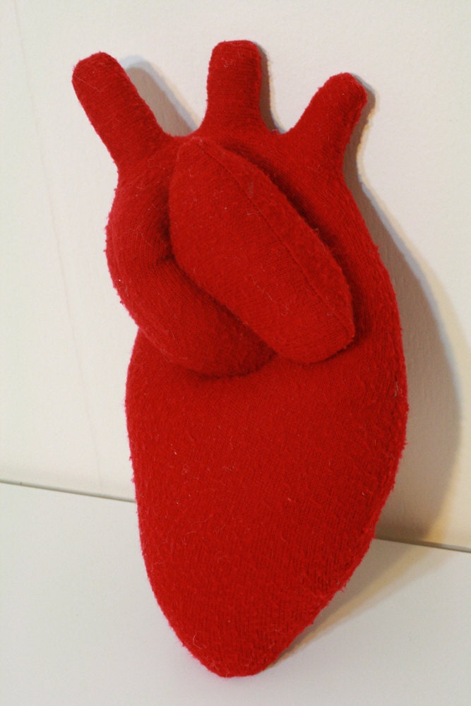 Anatomically correct-ish plush heart