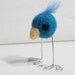 blue and turquoise big-footed bird