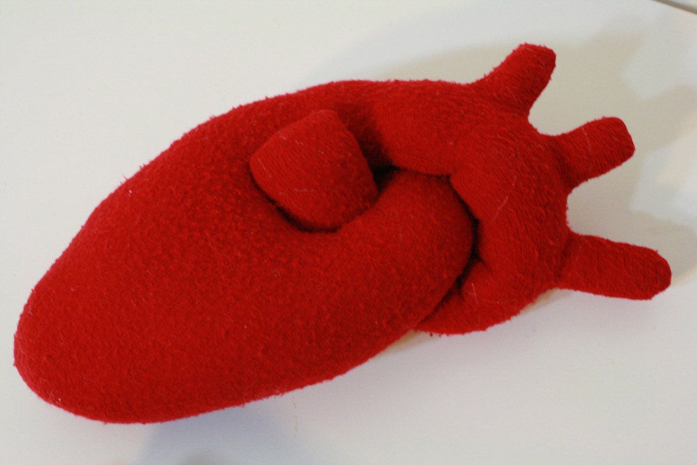 Anatomically correct-ish plush heart