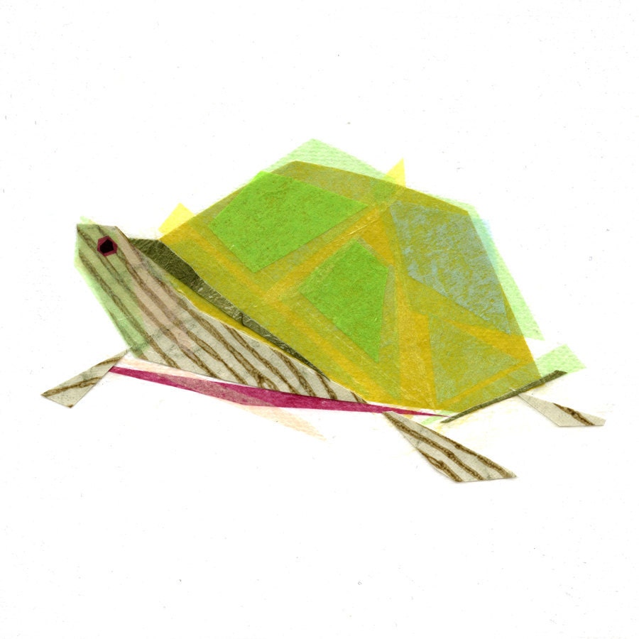 tito tortoise - print